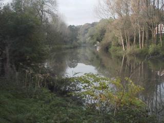 The River Avon at Conham